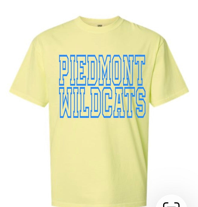 Piedmont Neons