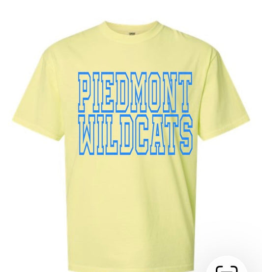 Piedmont Neons