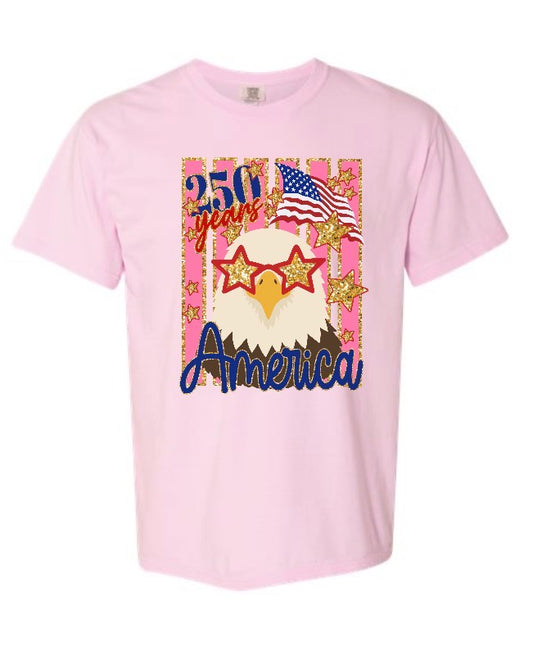 Eagle-250- Pink & Flo Blue